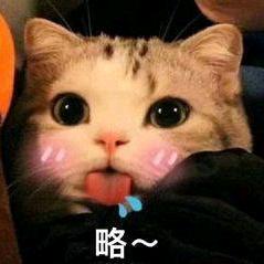 陌筱柏