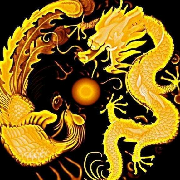 幸福的猪