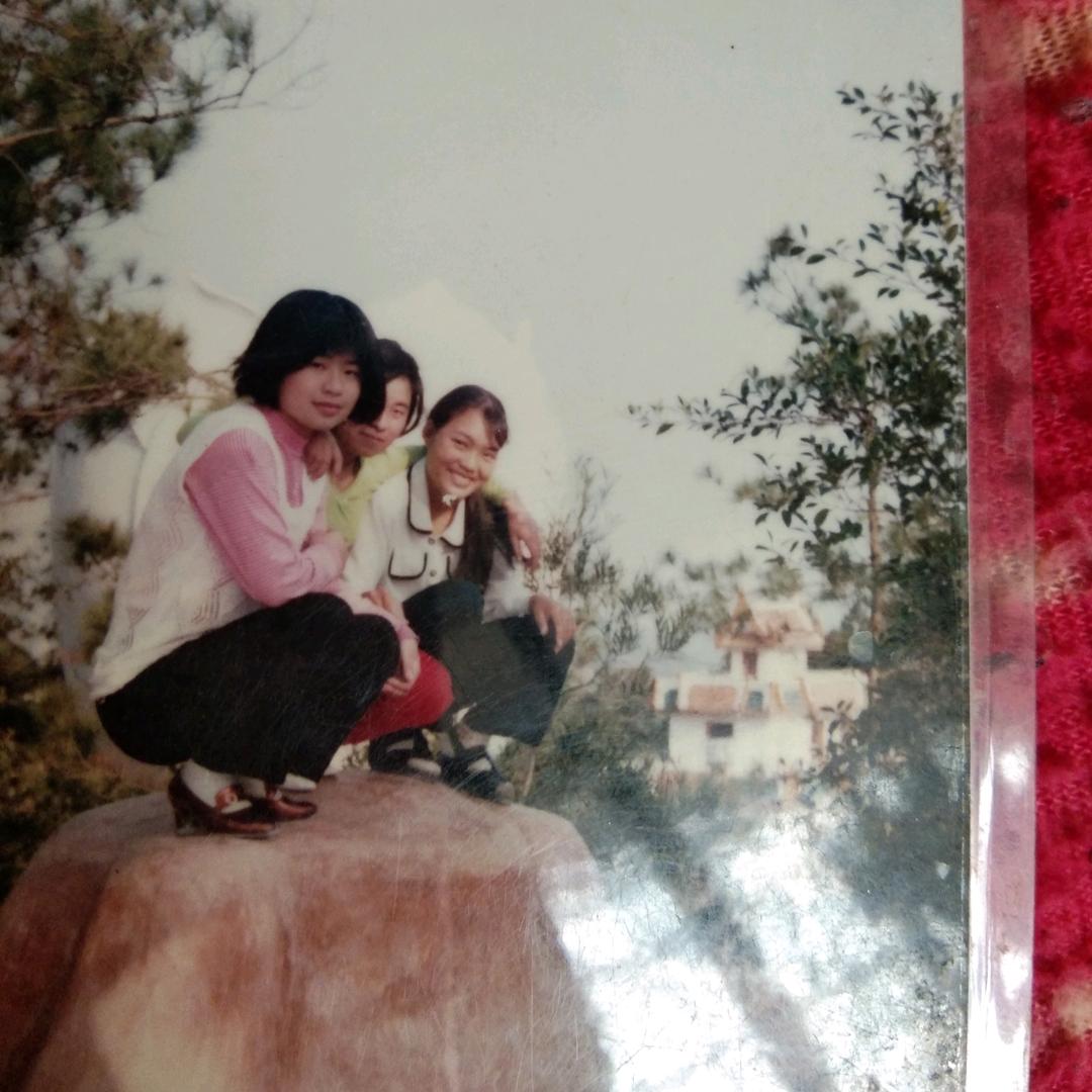 做自己的大树为自己挡风遮雨