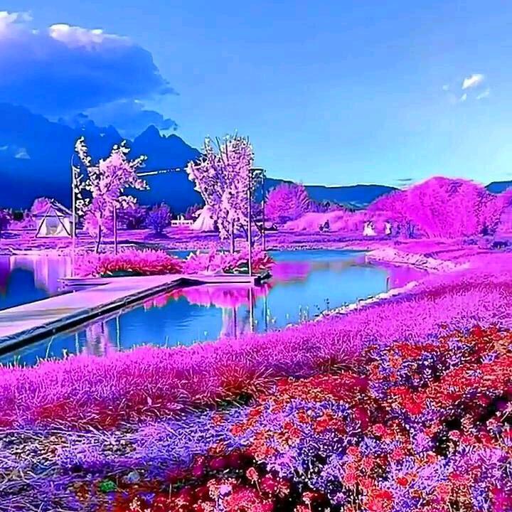 李应松