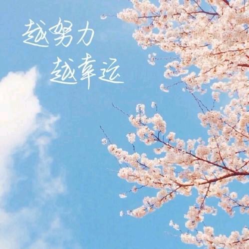 小慧@