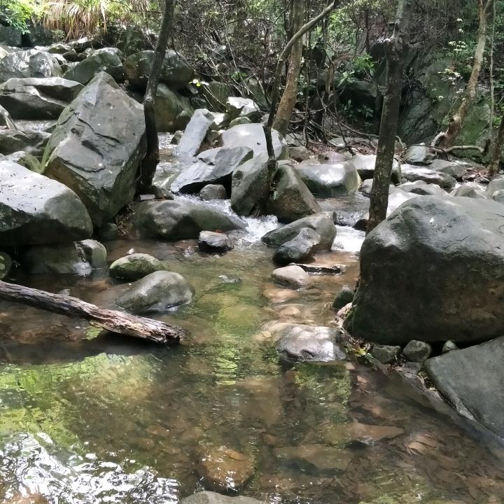 翠贤