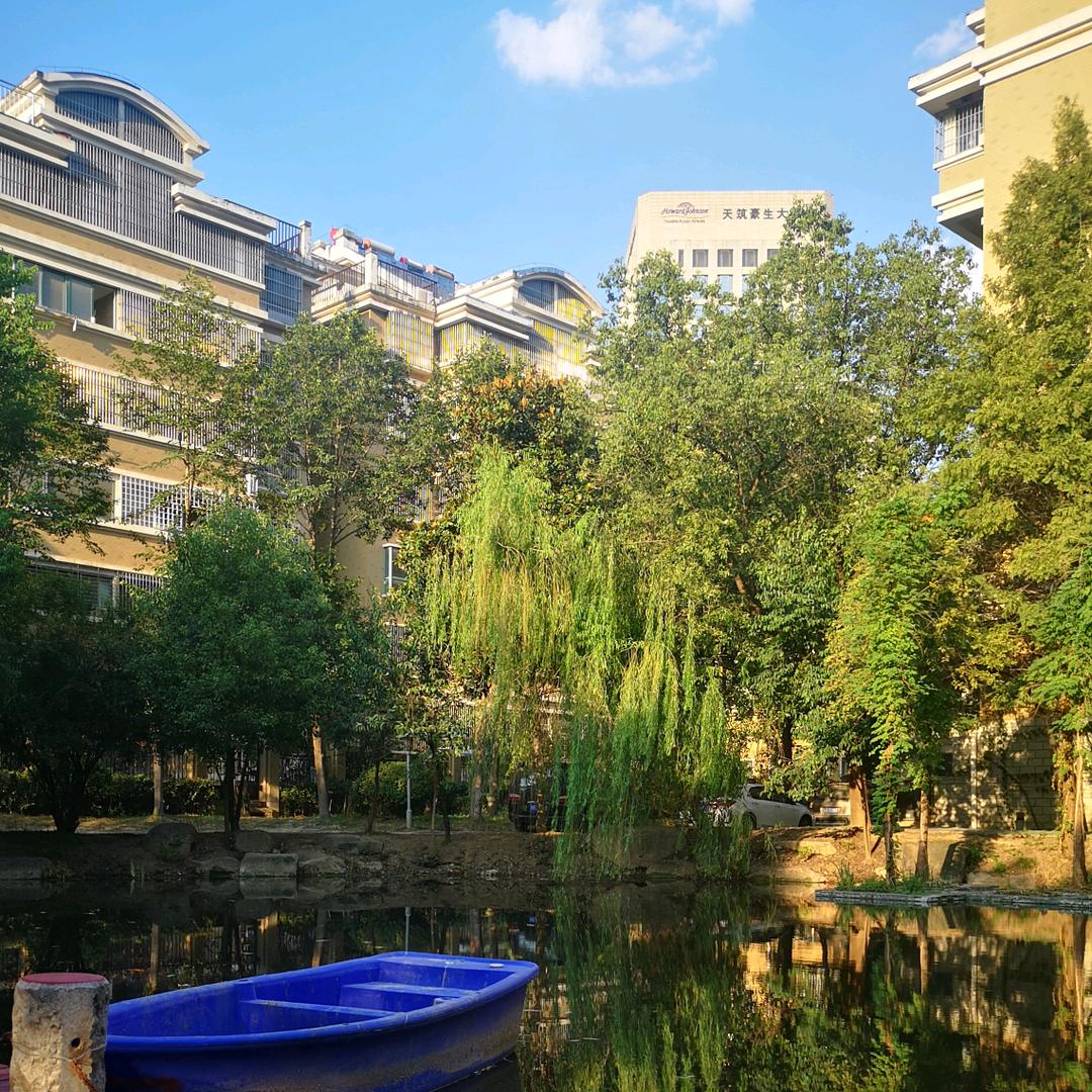 🌈❤️情缘🌈🥟✨