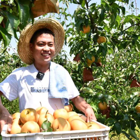 新县喜旺林果种植业农民专业合作社