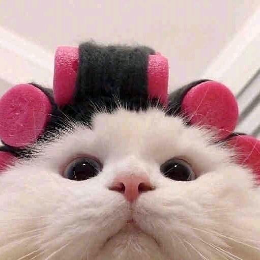 wen.