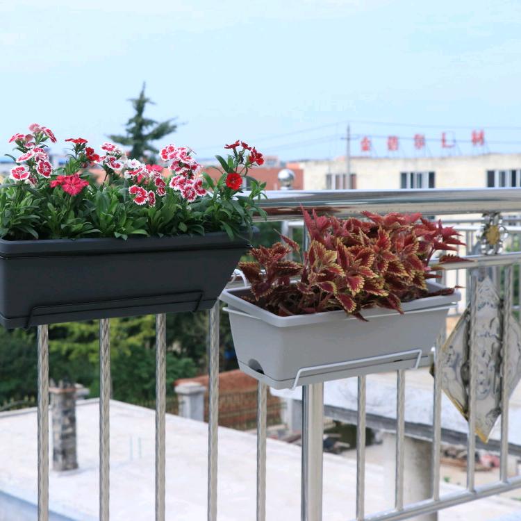 花亭阁花草