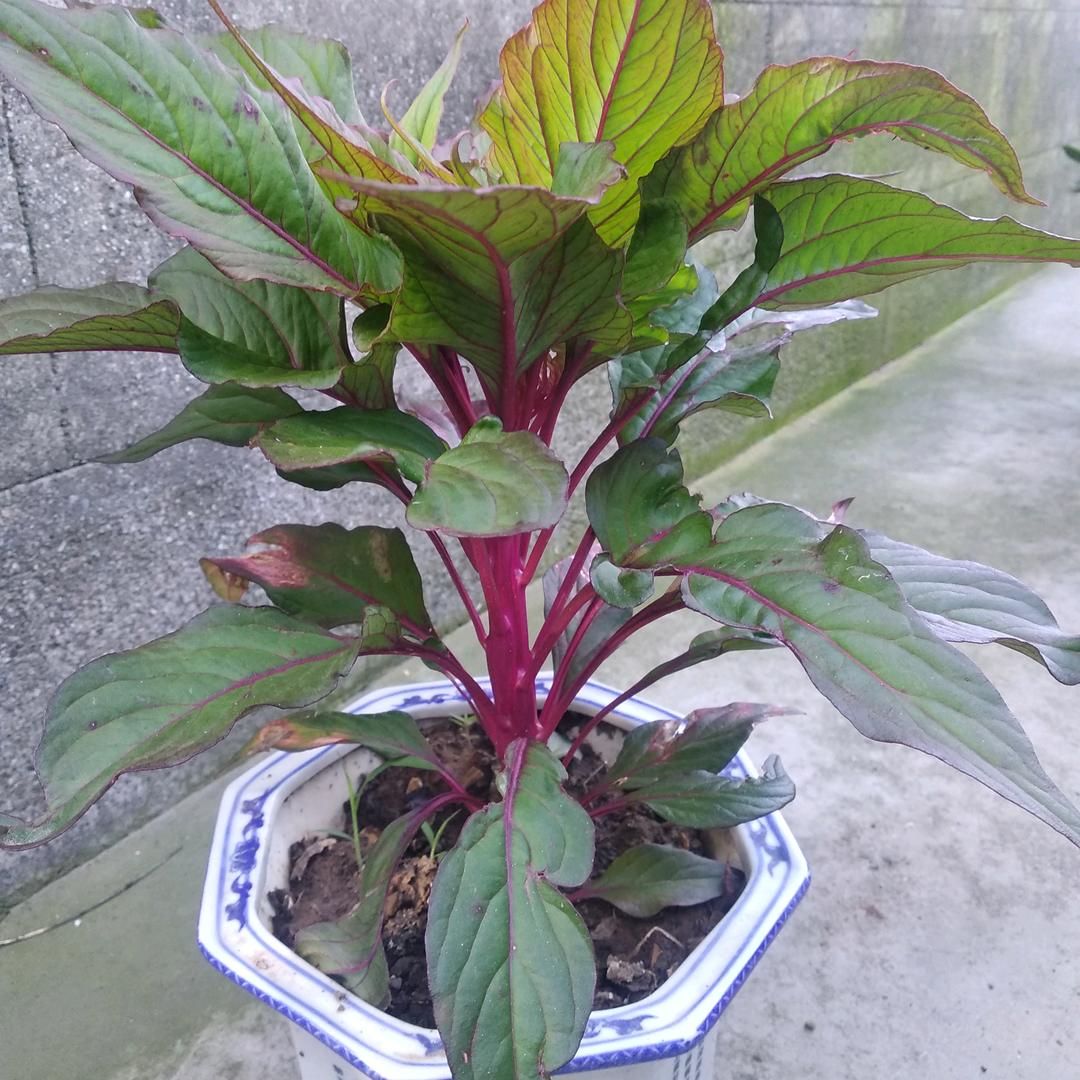 顺其自然