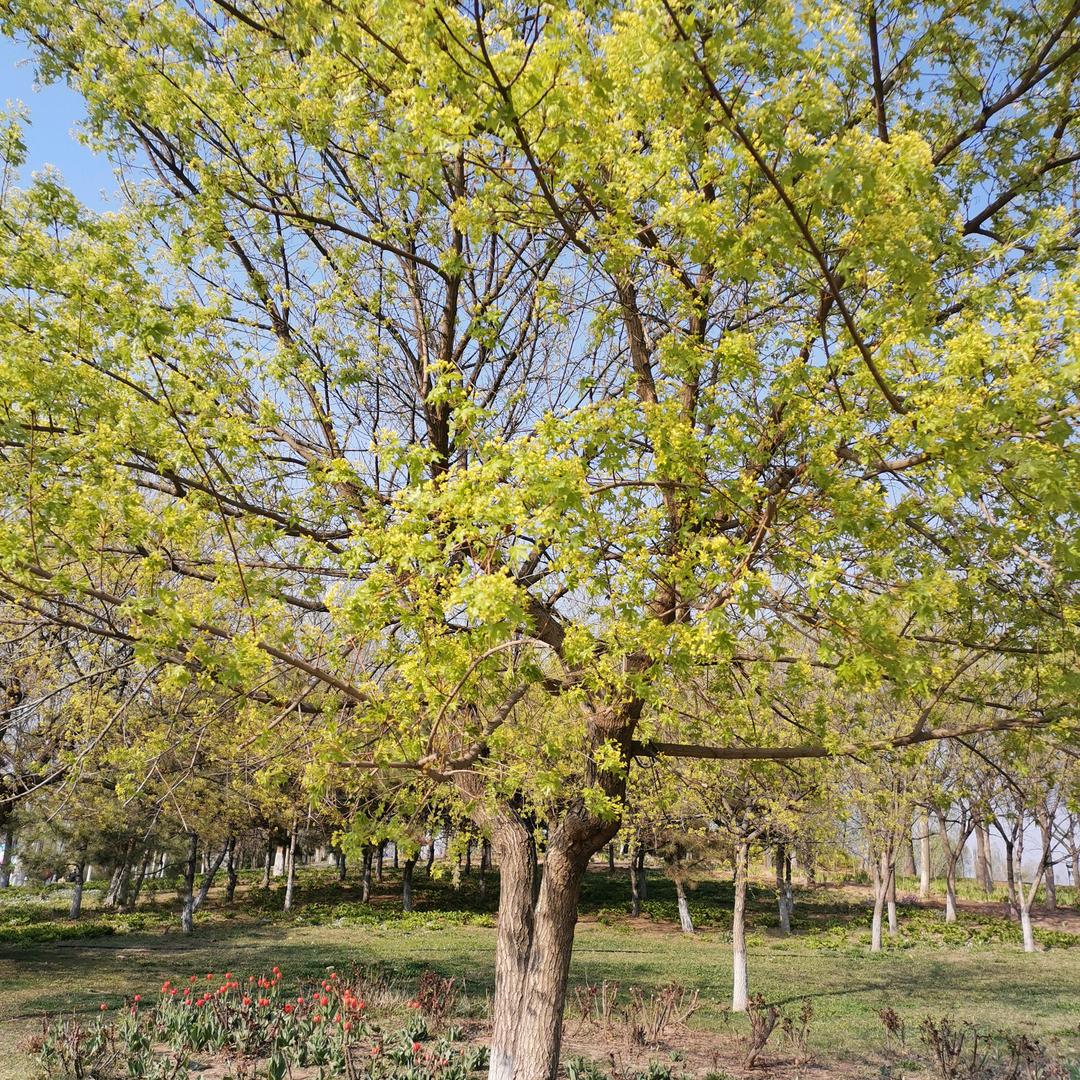 做好今天，期待明天