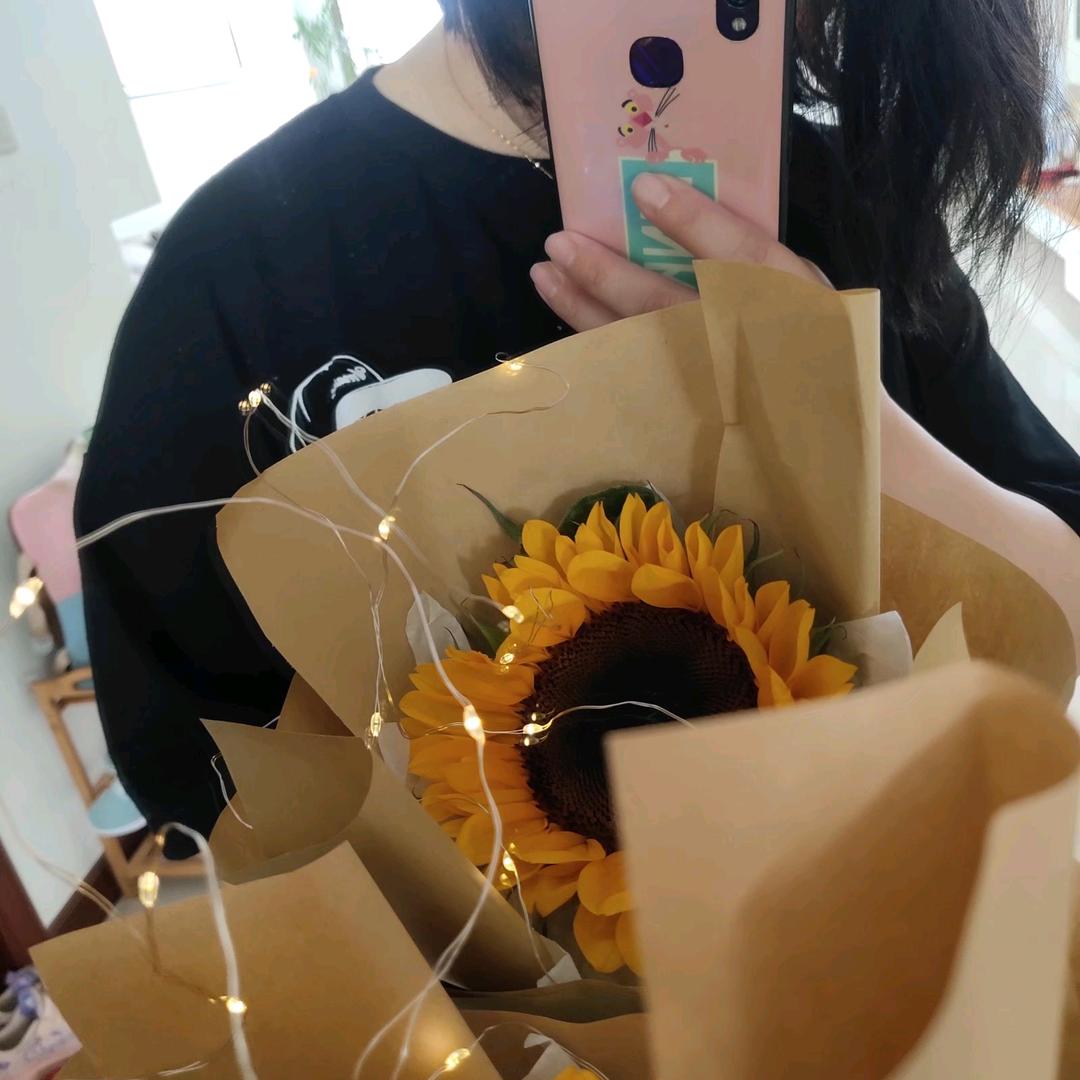 🌻🌻🌻🌻🌻🌻🌻