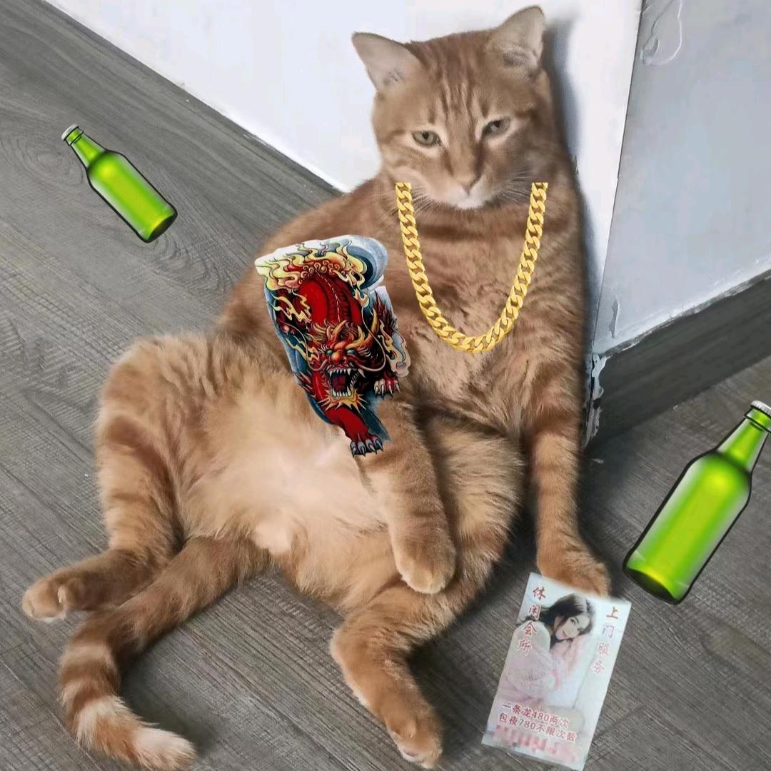 橘大郎好文分享