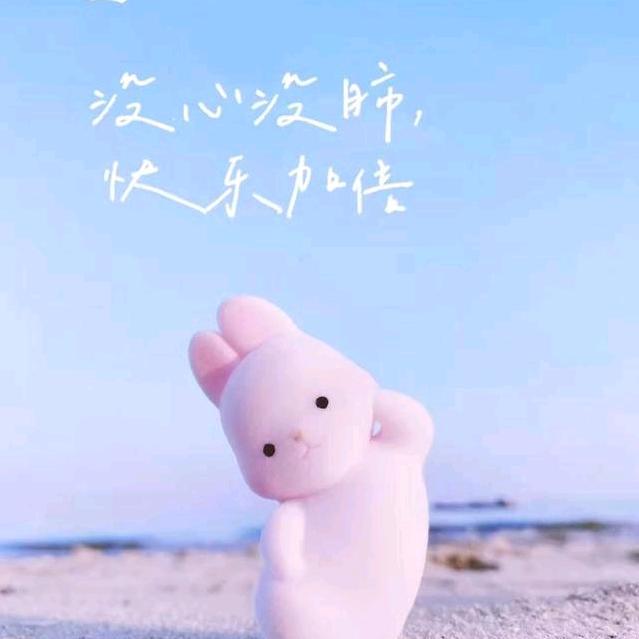 如颖随行