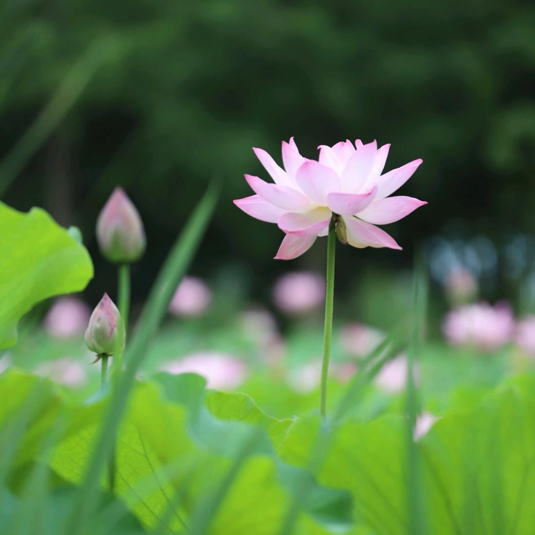 🦋ꦿ໊千纸鹤᭄🕊6185᭄ꦿᩚ٭🌈