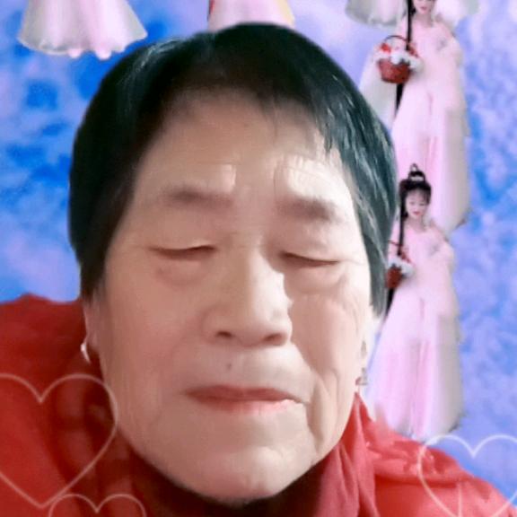 1素琴