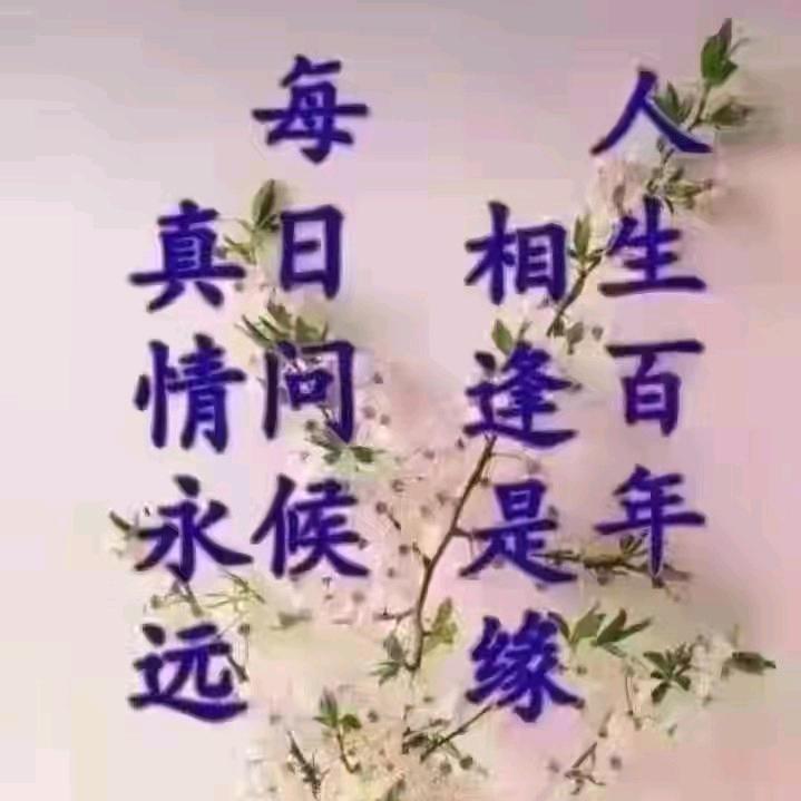 古月公子
