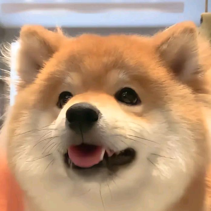 池绪（三角洲行动）