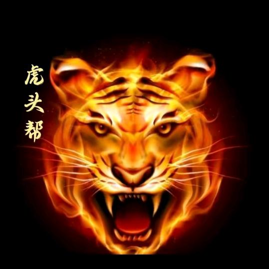 大撕兄🐯1187