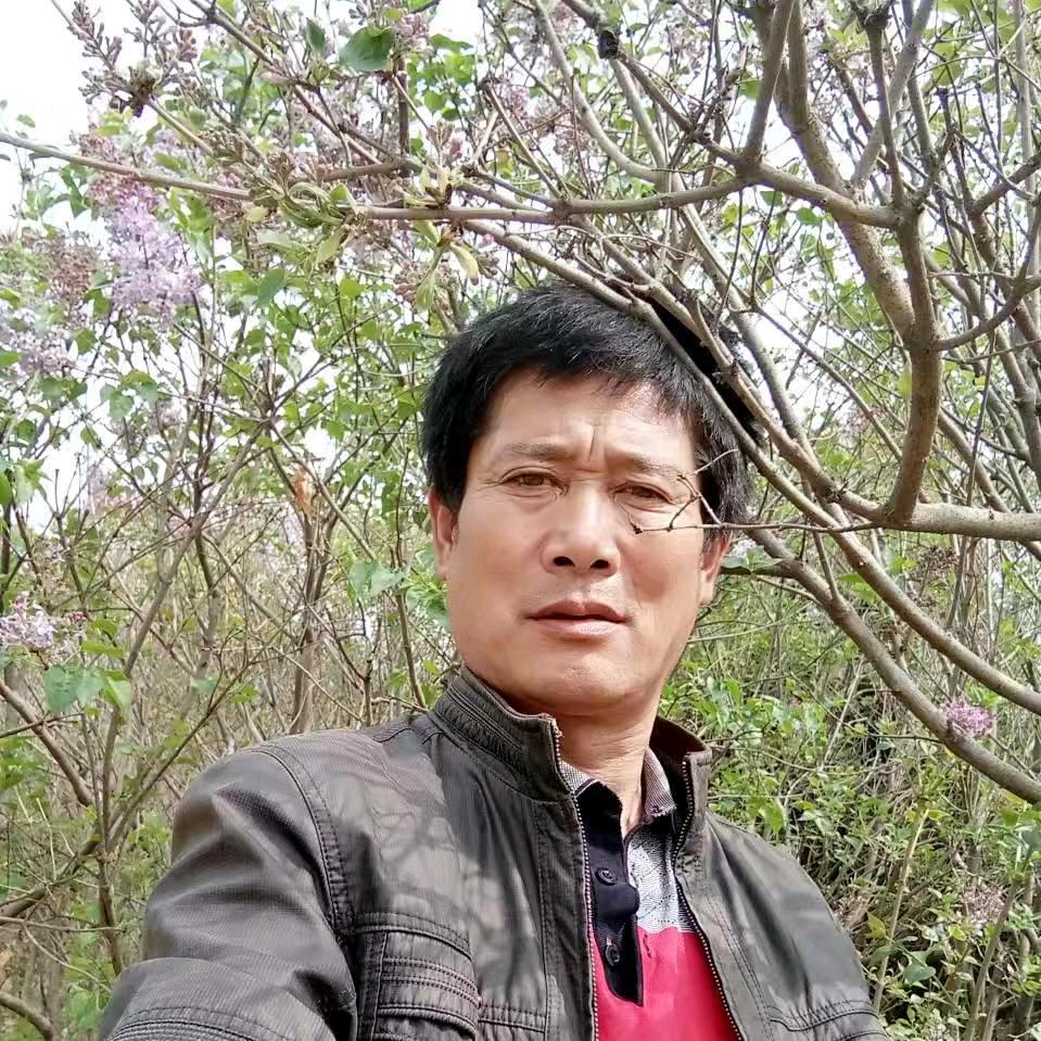 丰宁九哥–家电清洗