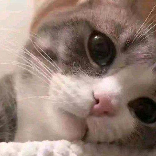 °*:.☆午夜阳光☆╰