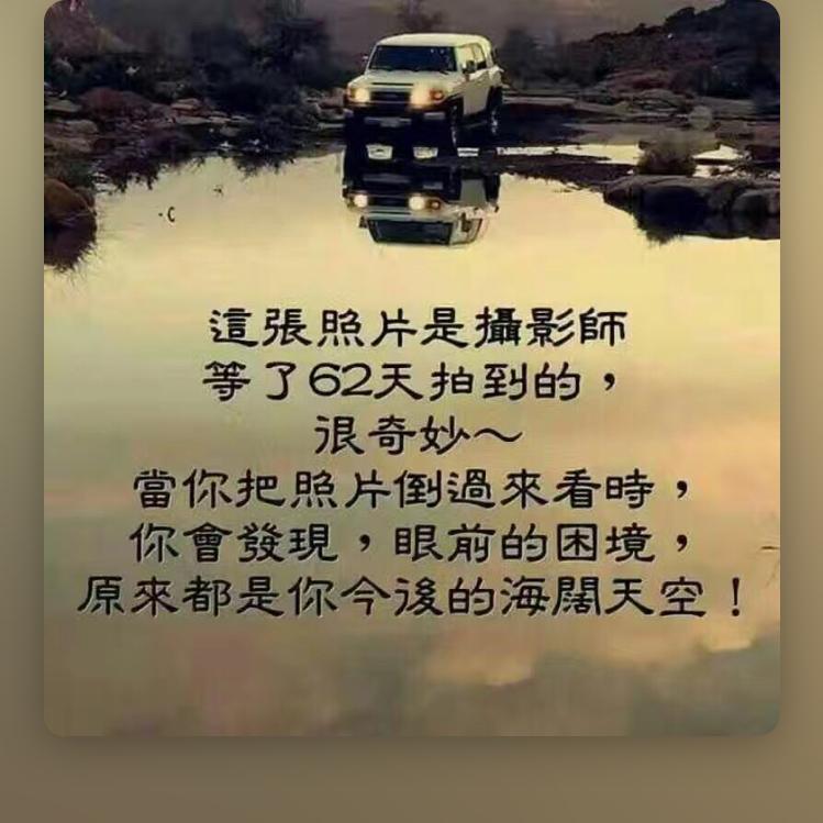浪荡的阿曼尼