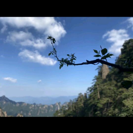 上海蝶宴主题乐园