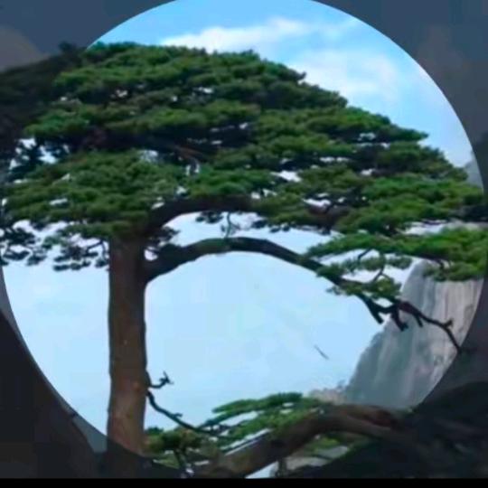 王