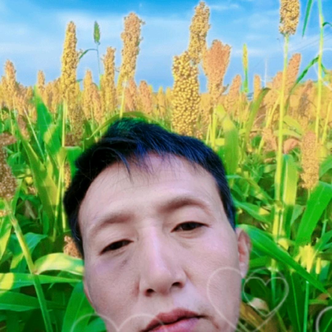 天天快乐（吴）