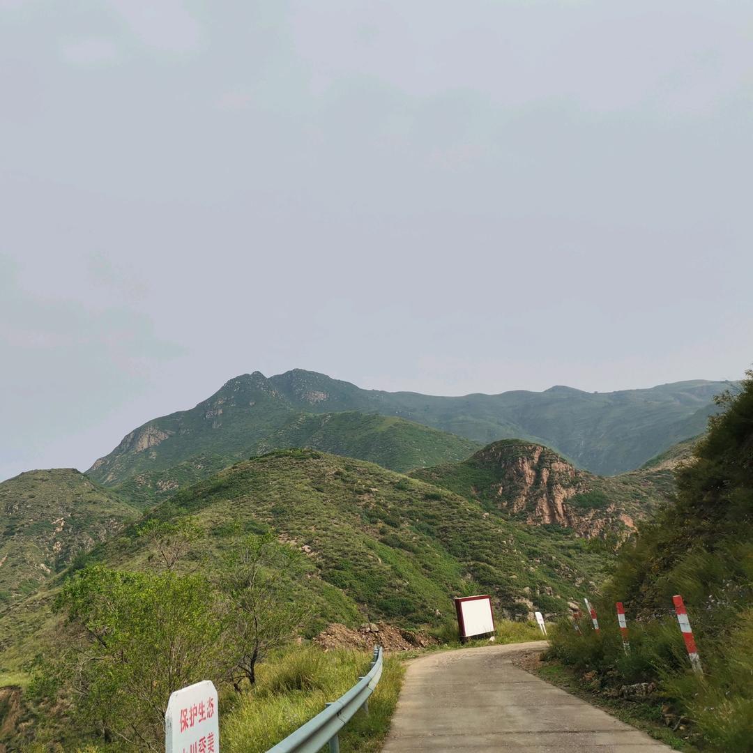绥
