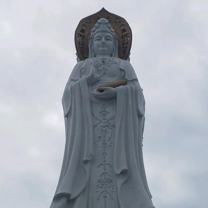 强👍哥
