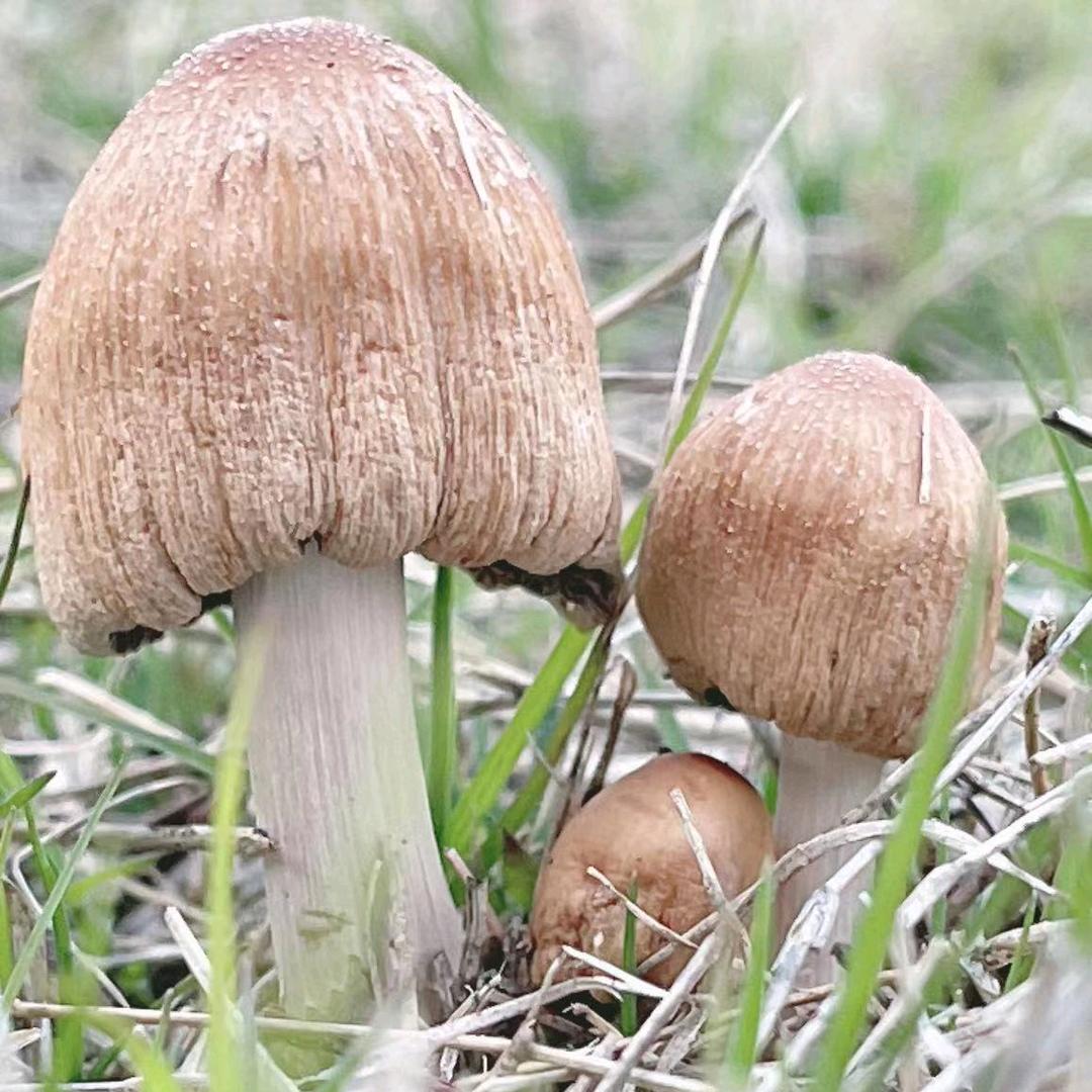 伊面美皮肤管理（芜湖店）