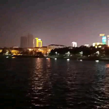 青山虎