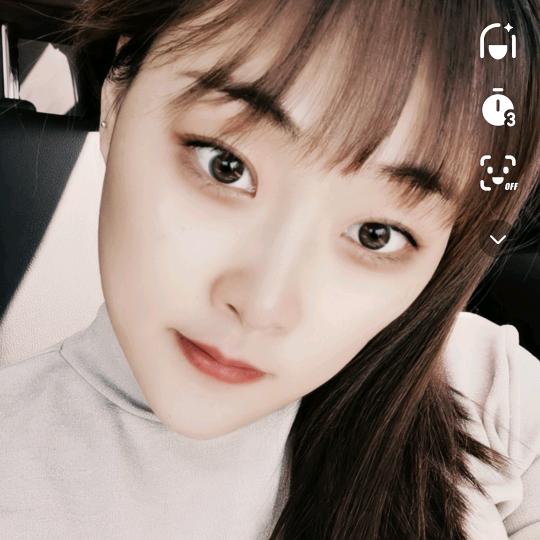 开采耳店的燕子