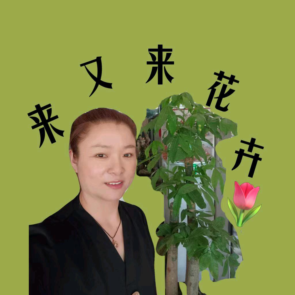 二安来又来饭店