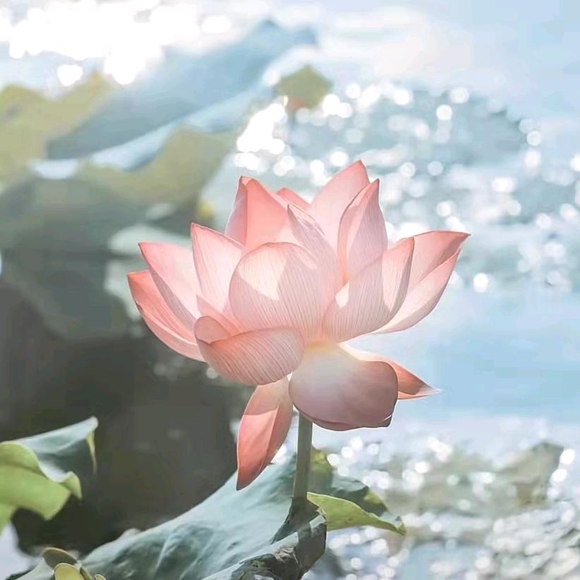 静候佳音