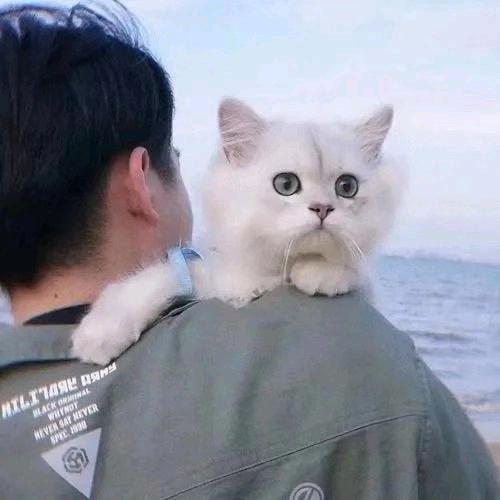 在等一个小朋友