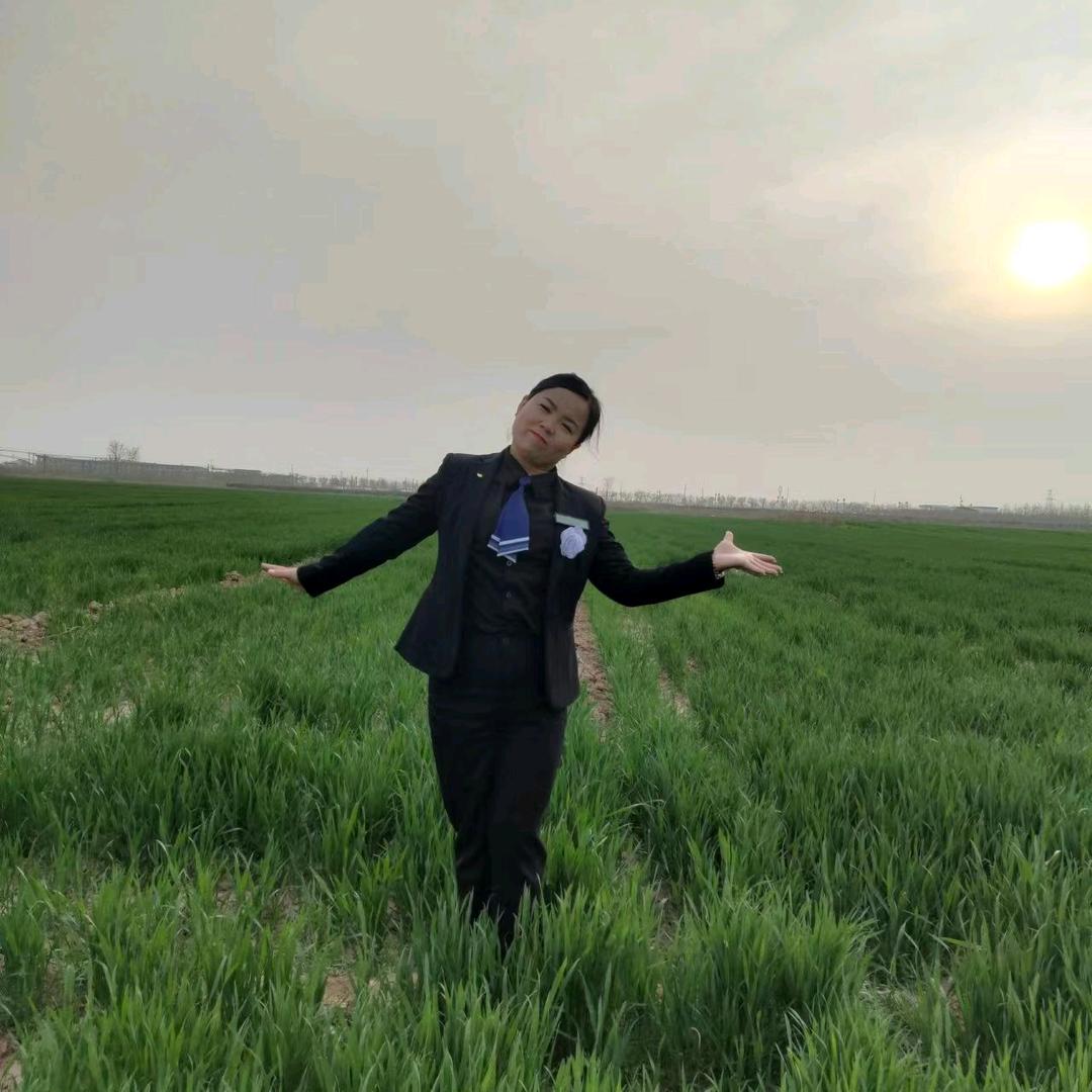 礼泉秦风礼仪～刘妮