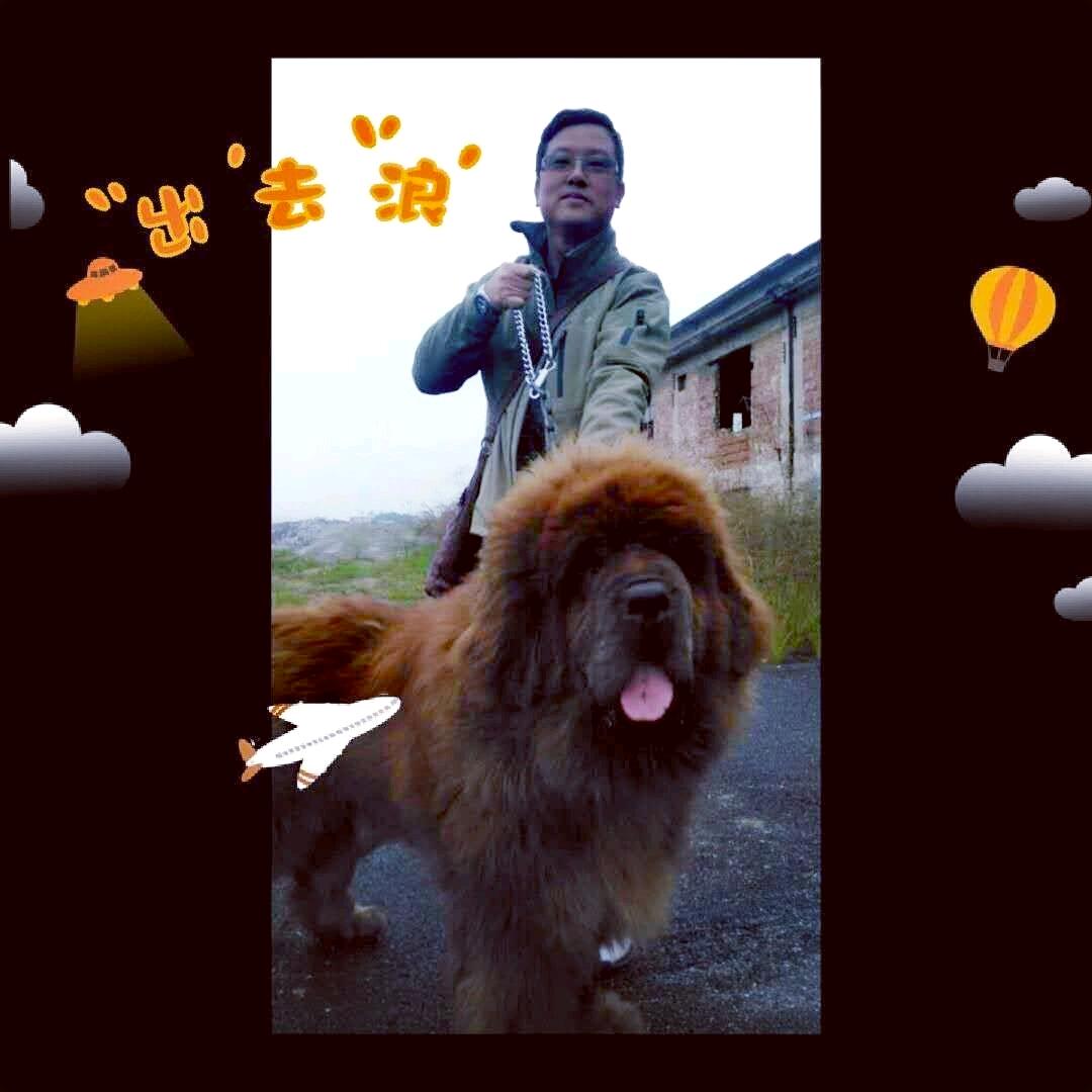 碧咸