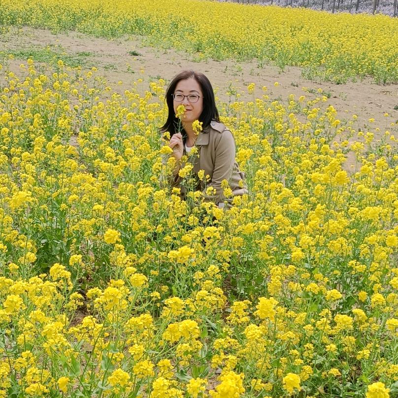 富林软装领绣墙布