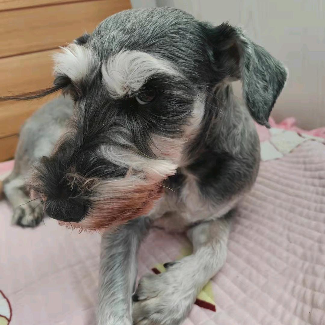 面对疾风吧