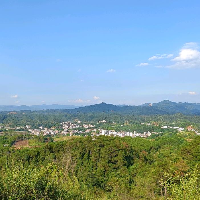 北林