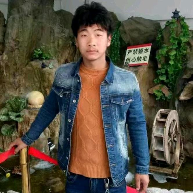 山阳散养土公鸡土鸡蛋蔬菜大小狗养殖基地