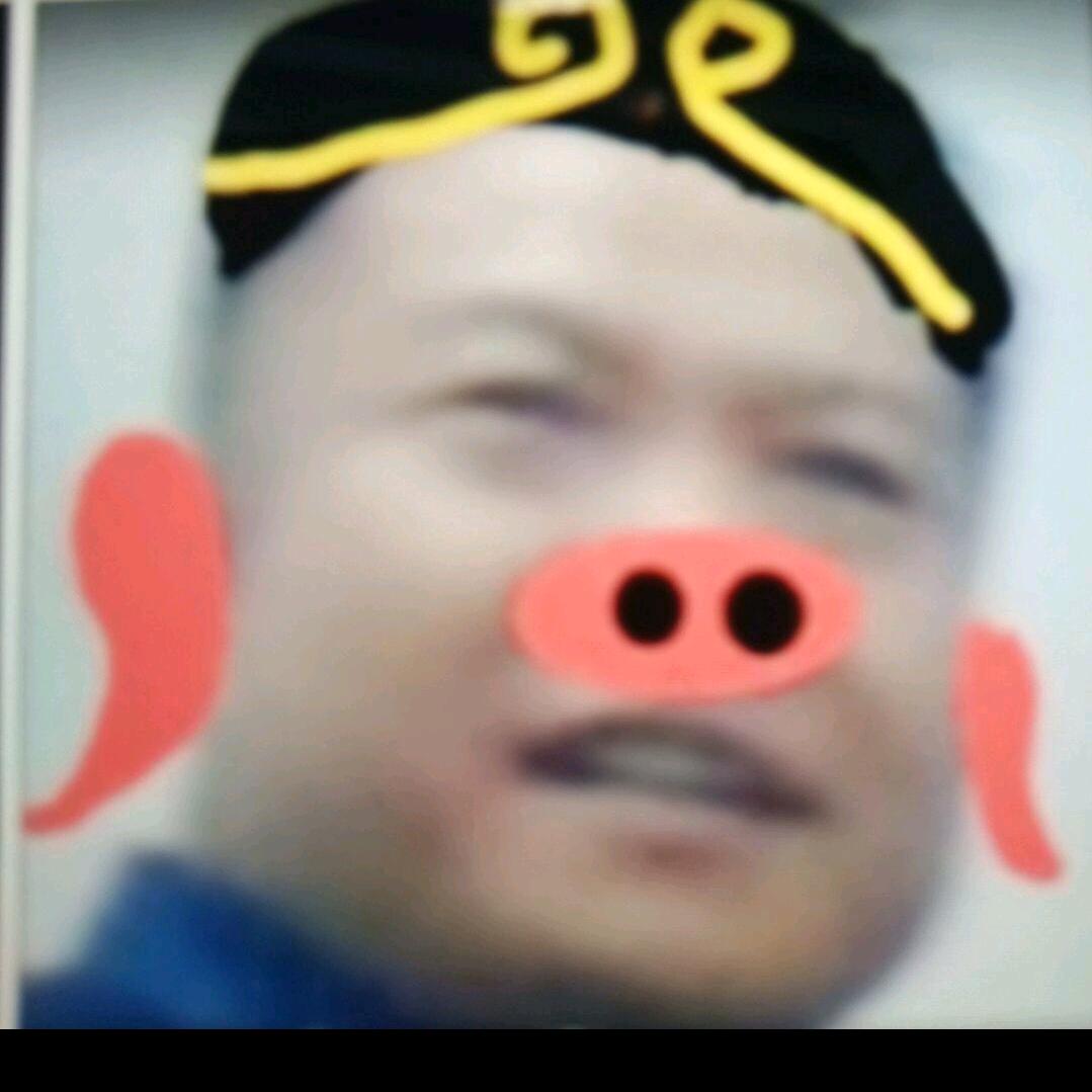 顾北辞