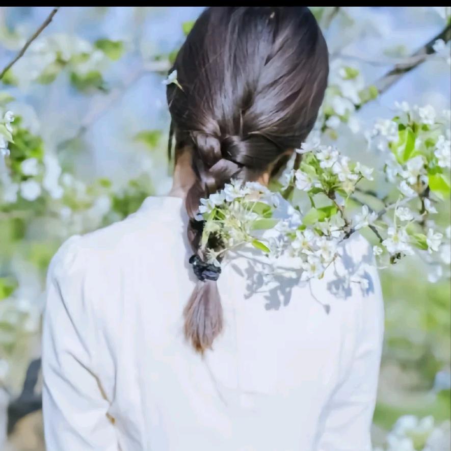 🌹余生安好🌹