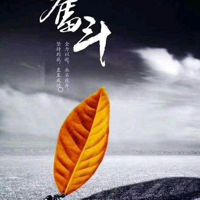 中投生物科技（河北）有限公司