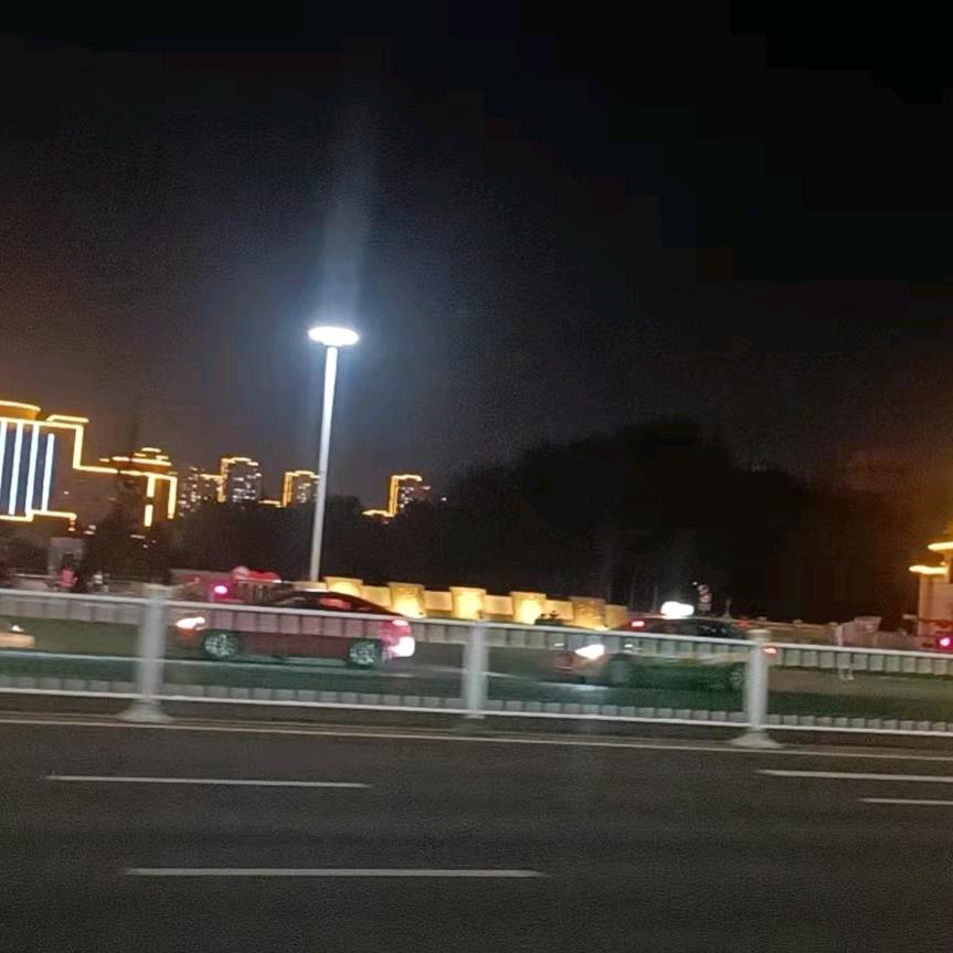 摇钱树
