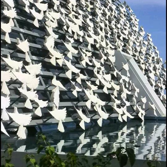 椰子鸡