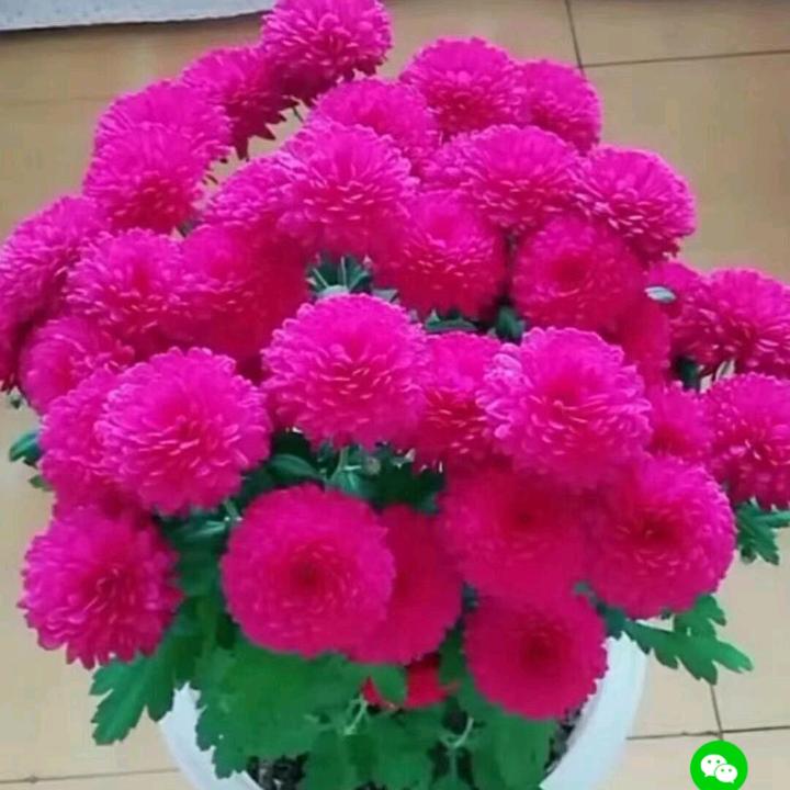 一生平安 快乐无限