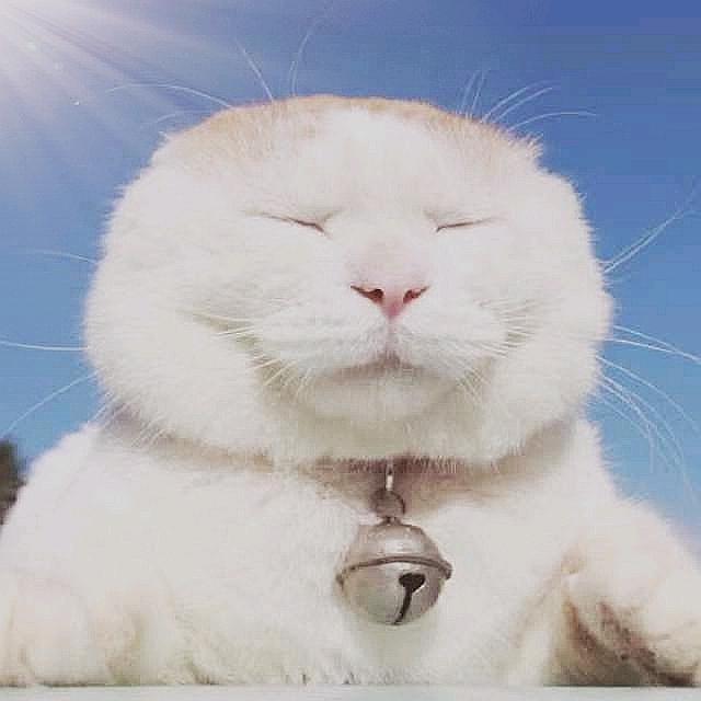 了了翁