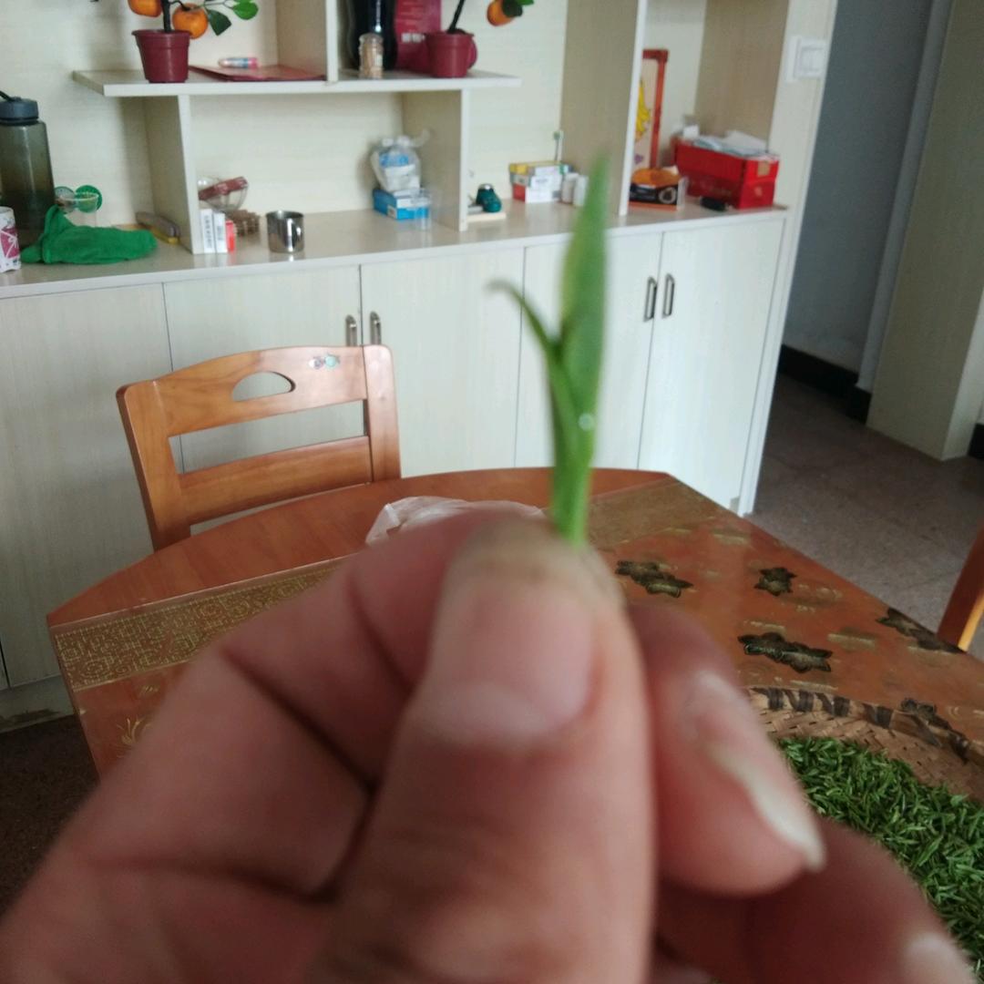 幸福