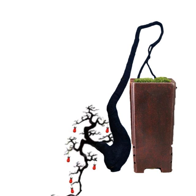 长寿区杰涵盆景苗圃