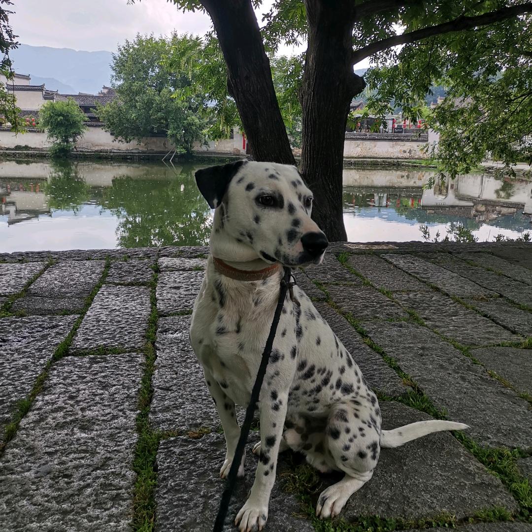 我在宏村等你～～～